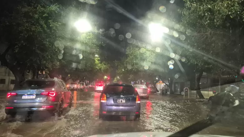 mendoza febrero
