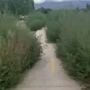 Reclamo vecinal por el abandono de una bicisenda en Las Heras