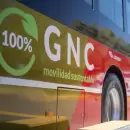 Estos serán los servicios especiales de transporte para los distintos festejos vendimiales