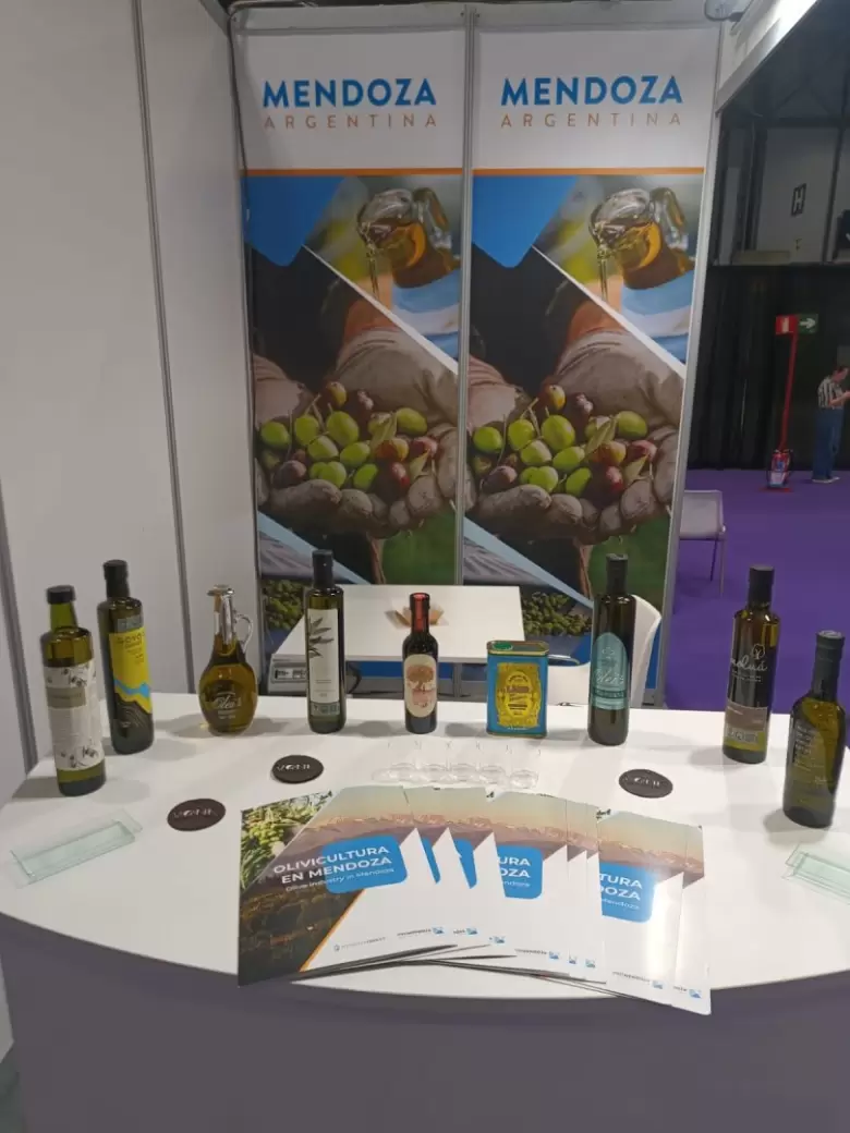 aceite de oliva mendoza