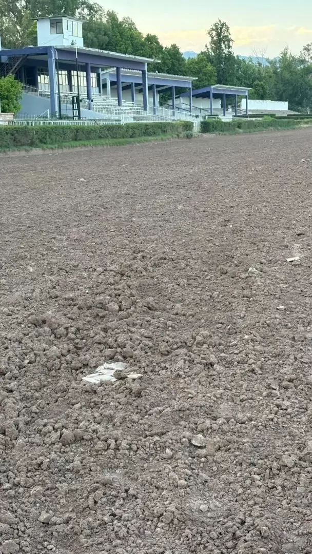 hipódromo de Mendoza