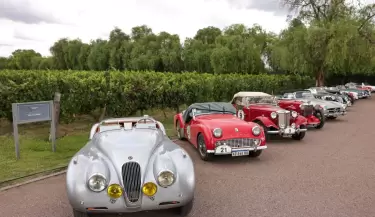 rally de bodegas