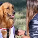 El móvil veterinario continúa recorriendo los distritos de Maipú