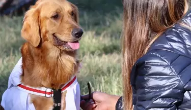 M�vil veterinario Maip�