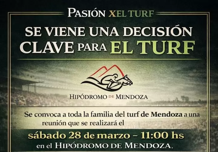 turf