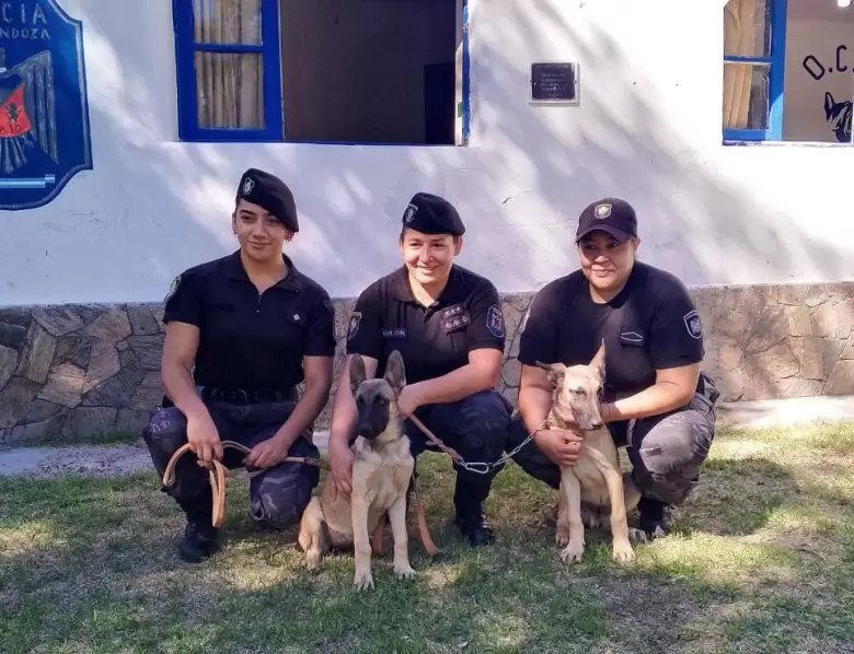 perro polic�a
