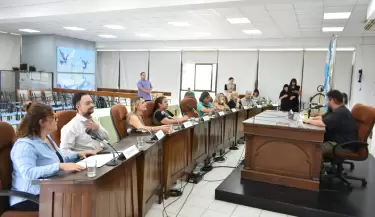 concejo deliberante