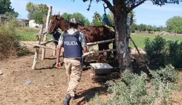 policia rural