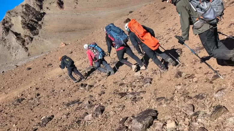 patrulla de rescate