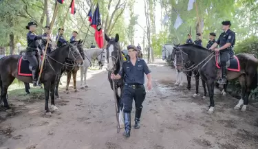 caballos montada