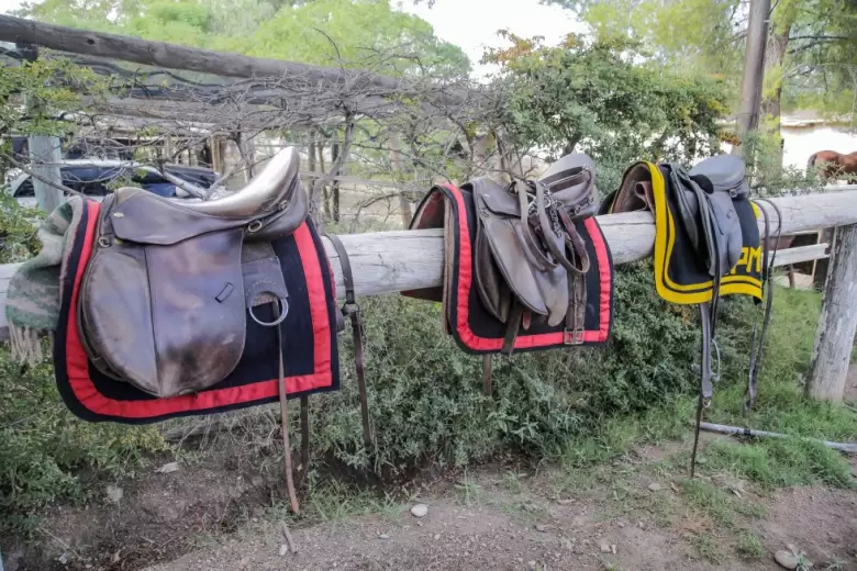 caballos montada
