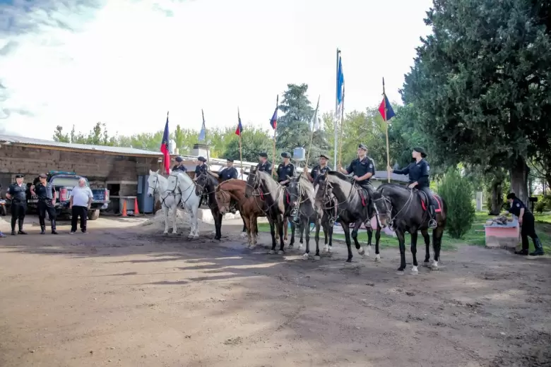 caballos montada