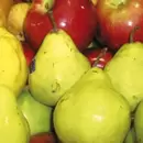 Crisis en el Valle de Uco: la producción de peras y manzanas quedó al borde de desaparecer