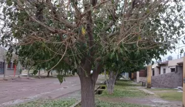 granizo en Santa Rosa