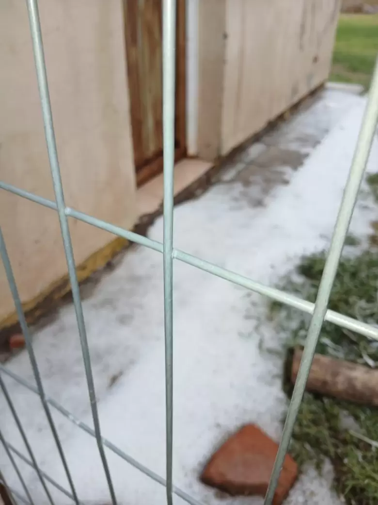 granizo en Santa Rosa (5)
