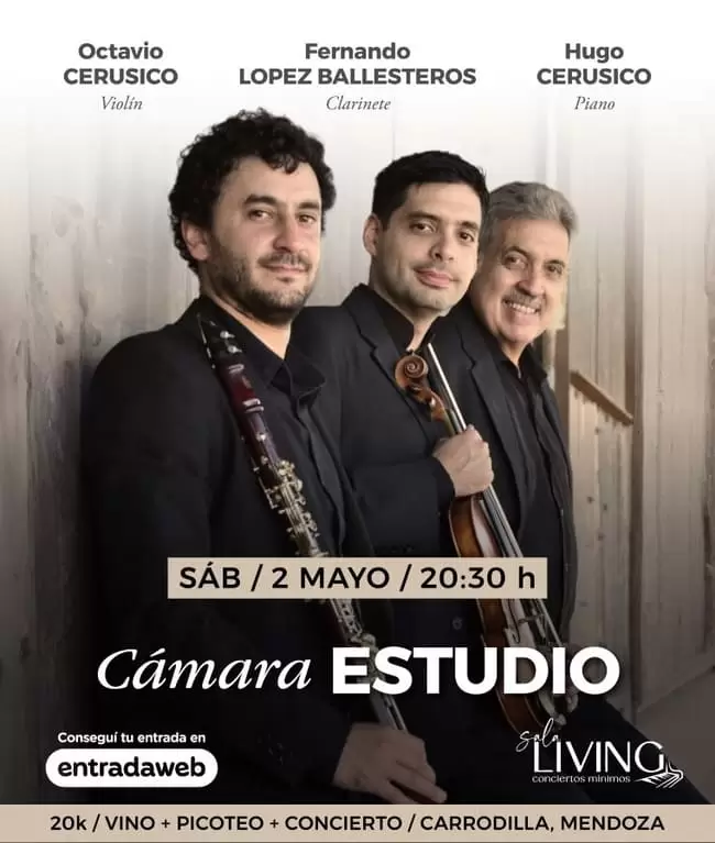 c�mara estudio
