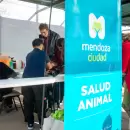 Servicios veterinarios gratuitos: Capital desplegará un operativo integral durante mayo