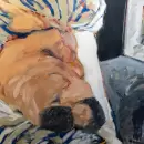 Cecilia Carreras realizará un recorrido guiado por su muestra "Desbordes"