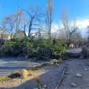 El viento Zonda golpeó con fuerza en Mendoza: cuáles fueron los sectores más afectados