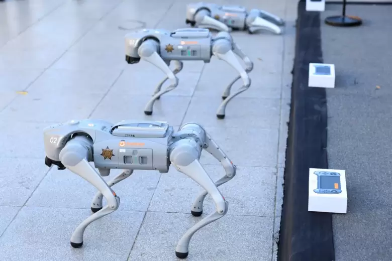 perros robots