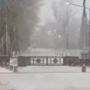 (Video) Intensa nevada en El Manzano Hist�rico: piden circular con precauci�n por las rutas