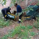 Avanza el plan de reciclaje en Mendoza, con m�s de 12 toneladas recuperadas