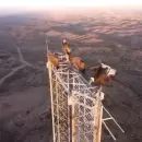 (Video) Un dron capt� a c�ndores andinos posados sobre una antena en Tupungato