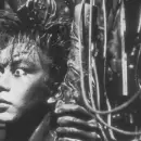 Cine de culto en Capital: lanzarán un ciclo de cyberpunk japonés