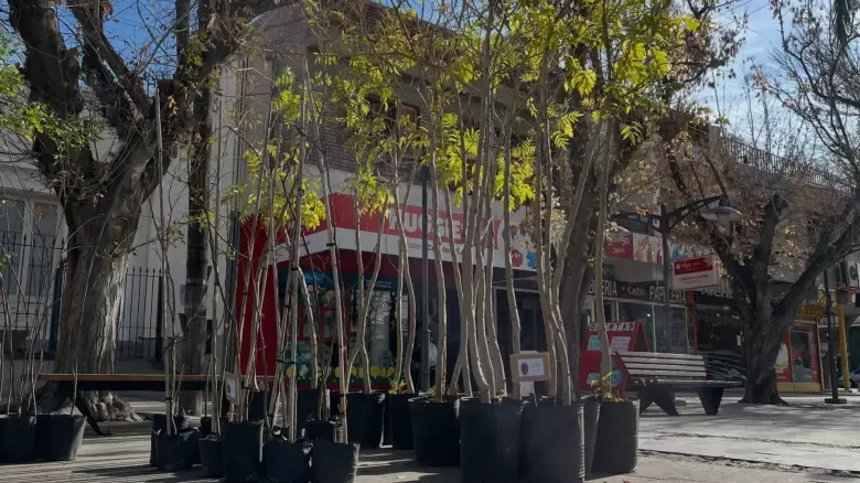 DÍA DEL AMBIENTE