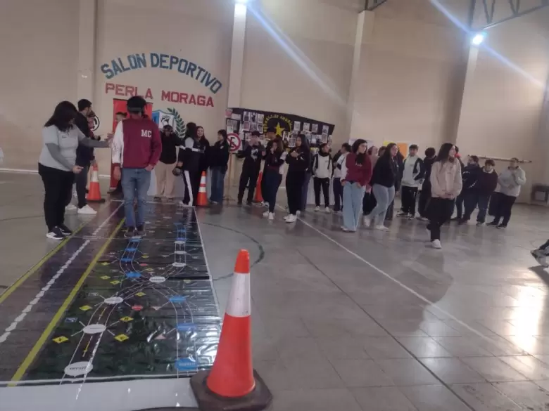 educacion vial