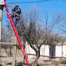 Finalizó una obra que mejorará el abastecimiento eléctrico en zonas rurales de Lavalle