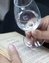 salud intestinal