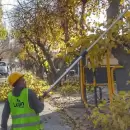 Desde el lunes habr� un corte total en una transitada zona de Luj�n por mantenimiento