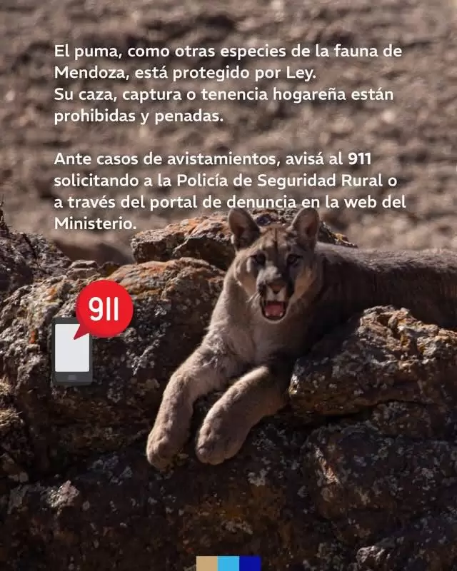 fauna silvestre