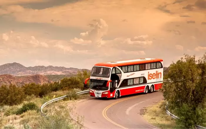 colectivo