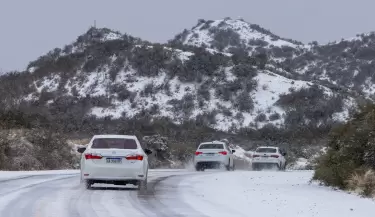 nieve