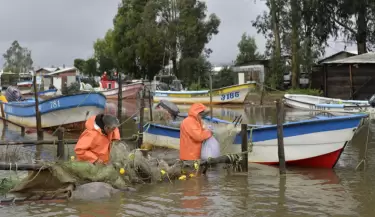 Temporal en Chile