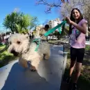 Godoy Cruz inaugura una nueva plaza canina, con atención veterinaria gratuita