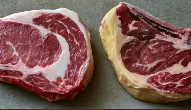 carne grasa blanca y grasa amarilla
