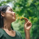 Olfato consciente: la meditaci�n guiada con aromas para anclar la mente en el presente